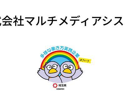 株式会社マルチメディアシステムの画像
