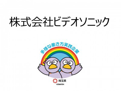 株式会社ビデオソニックの画像