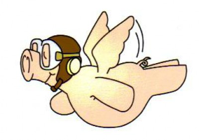 社会福祉法人泉の会　いずみ保育園の画像